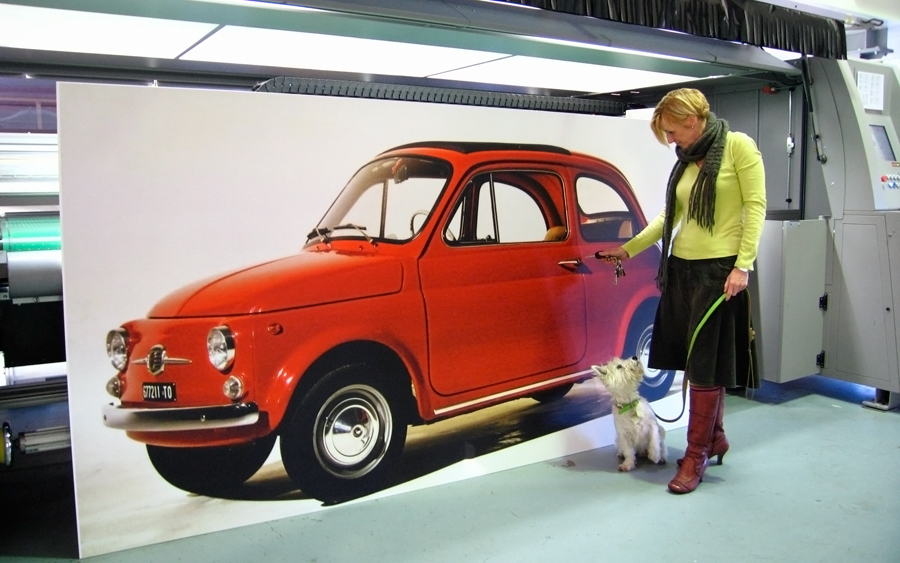 Lifesize fiat 500 print